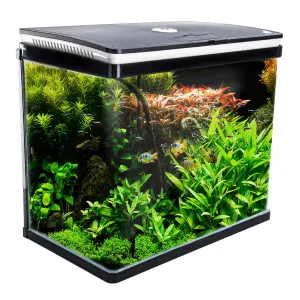 52L Curved Glass RGB LED Fish Tank Set, Filter, Pump - Dynamic Power