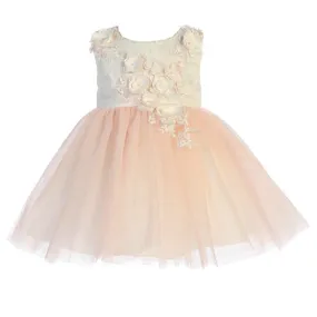 Baby Girls Ivory Blush 3D Lace Bodice Mesh Skirt Flower Girl Dress 6-24M