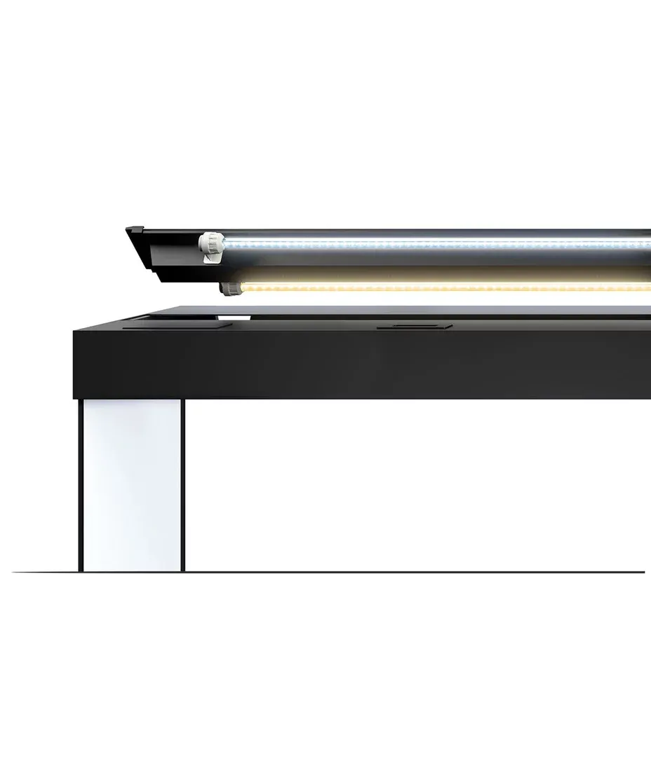 Juwel Vision 260 LED Tank and Stand