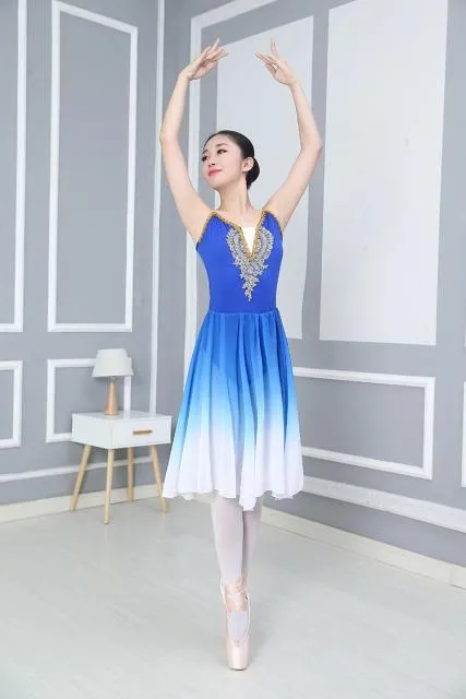 Young Ladies Practice Modern Dance Costume Chiffon Ballet Dress